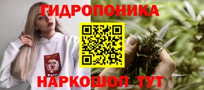 a pvp Ставрополь