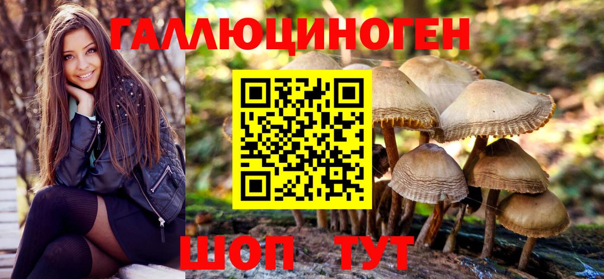 Псилоцибиновые грибы Psilocybe  Галлюциногенные грибы MAGIC MUSHROOMS  купить   Вход с VPN  Нефтеюганск 