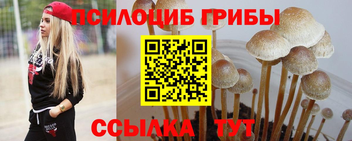 Псилоцибиновые грибы прущие грибы Нефтеюганск